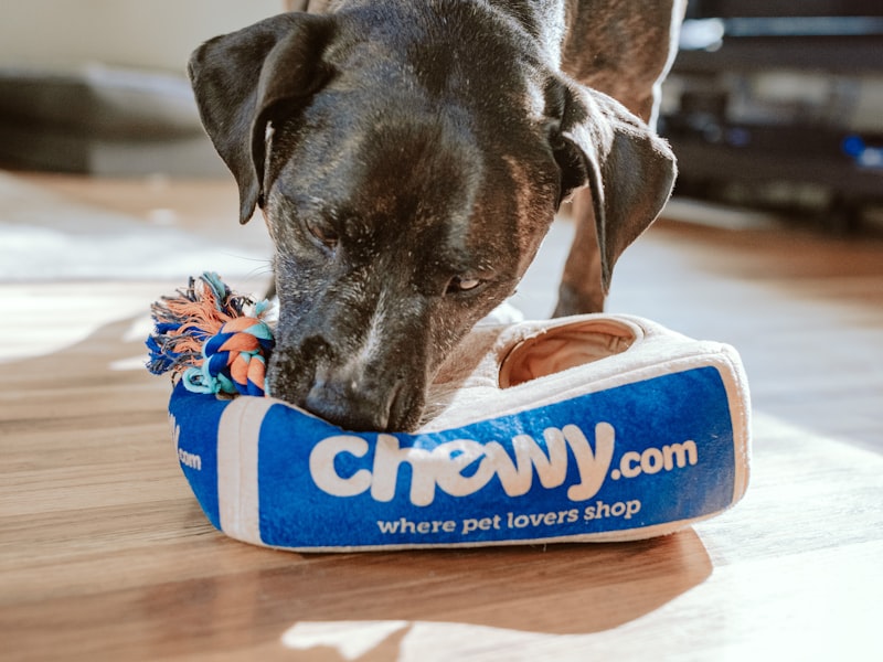 Fresh ingredients for pet nutrition